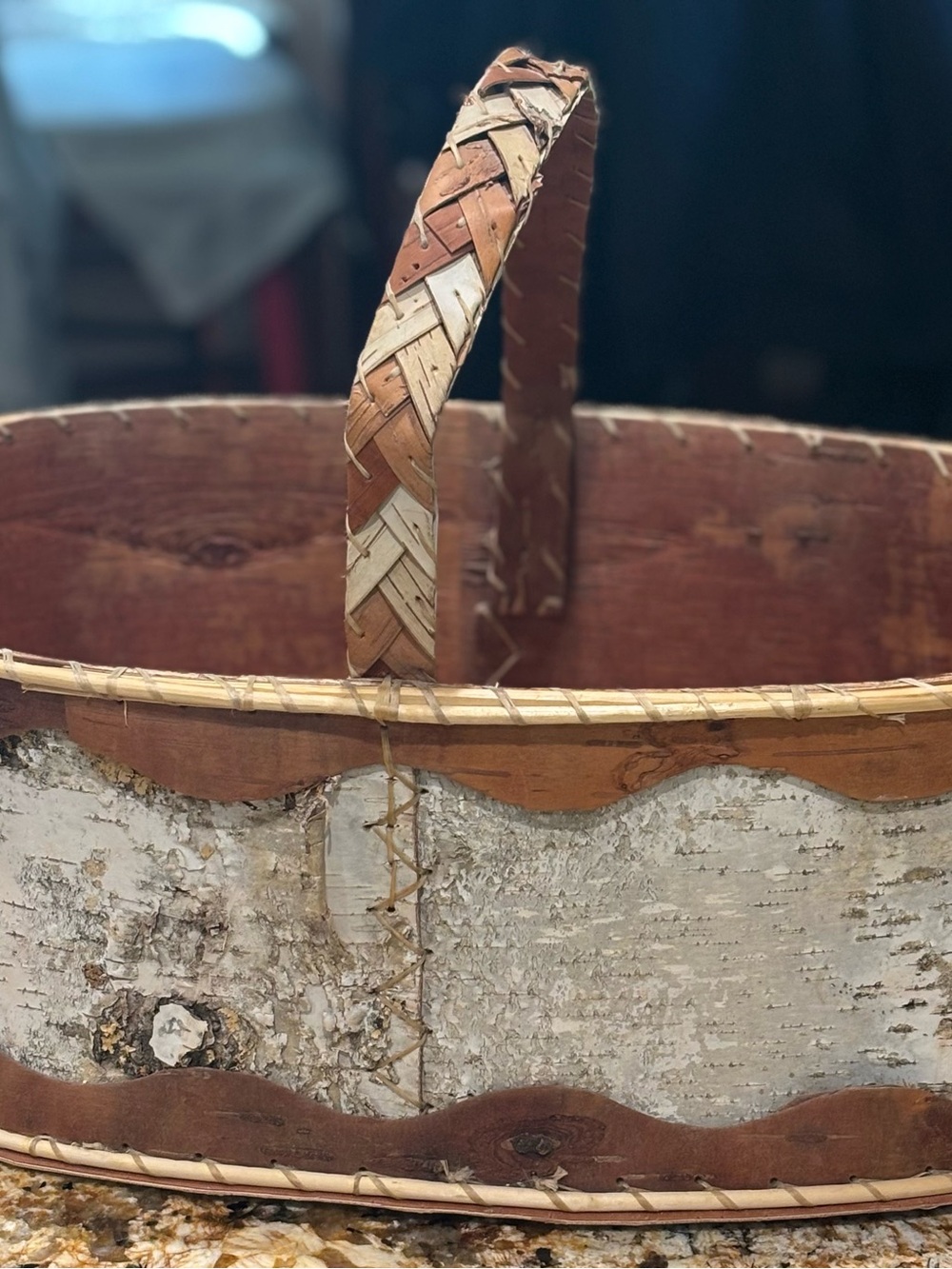 Rustic Birch Bark Oval Basket with Woven Handle